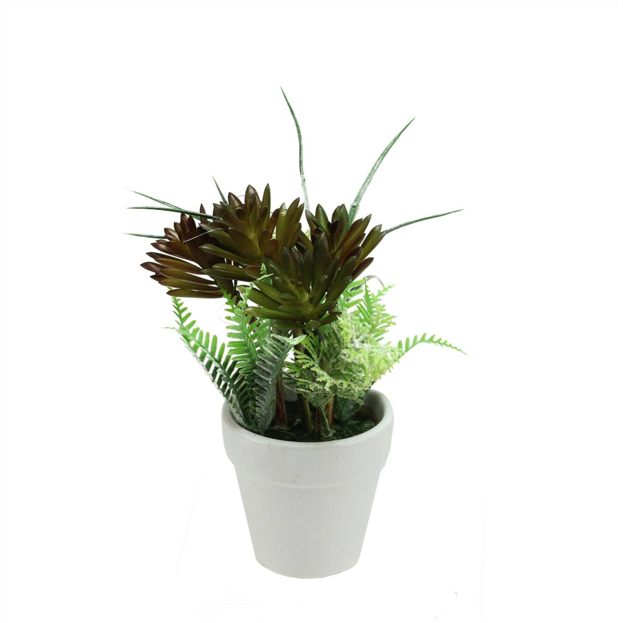 Artificial Green and Red Succulent and Fern with Round White Pot